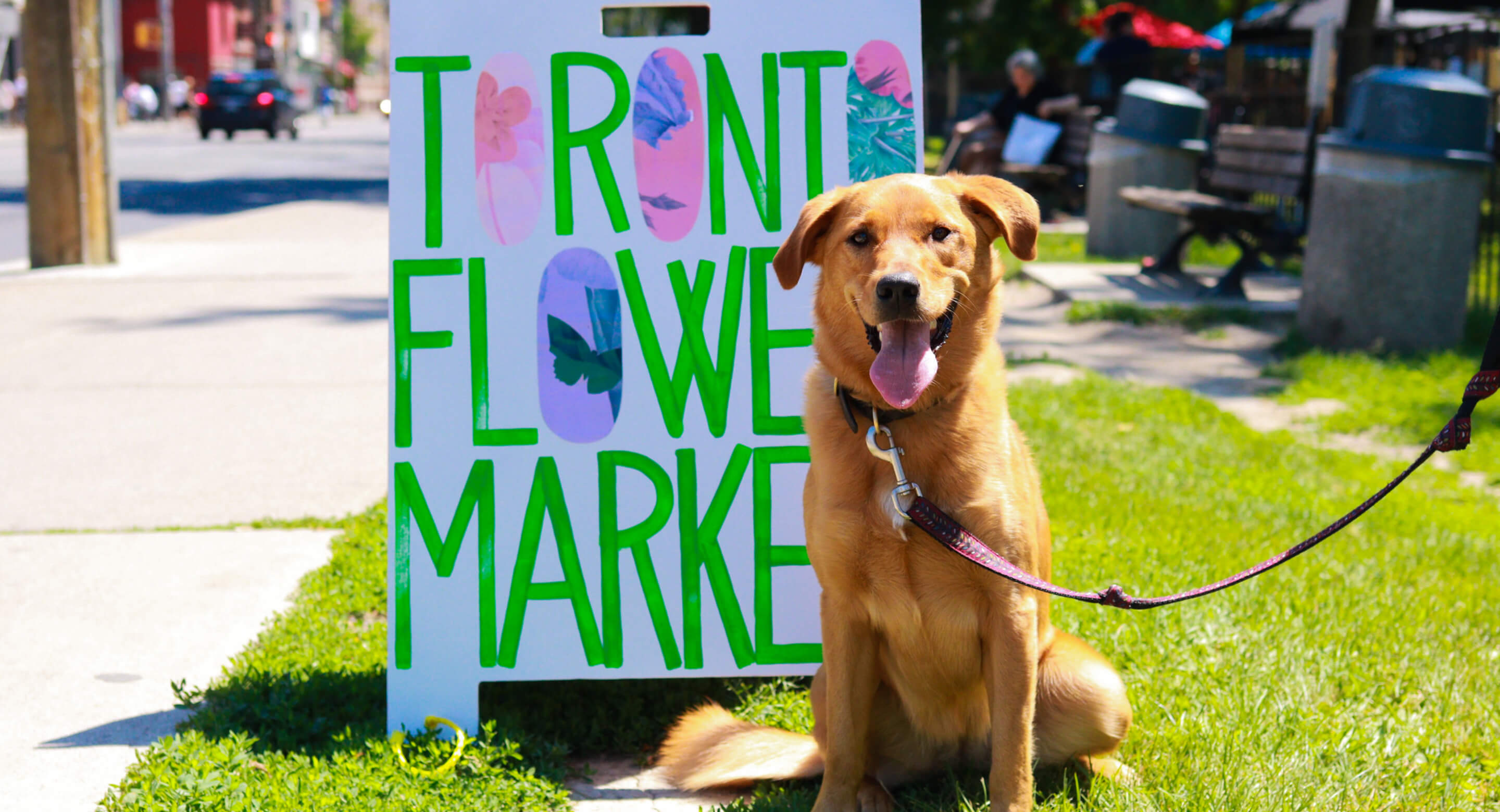 Dog and flower market sign