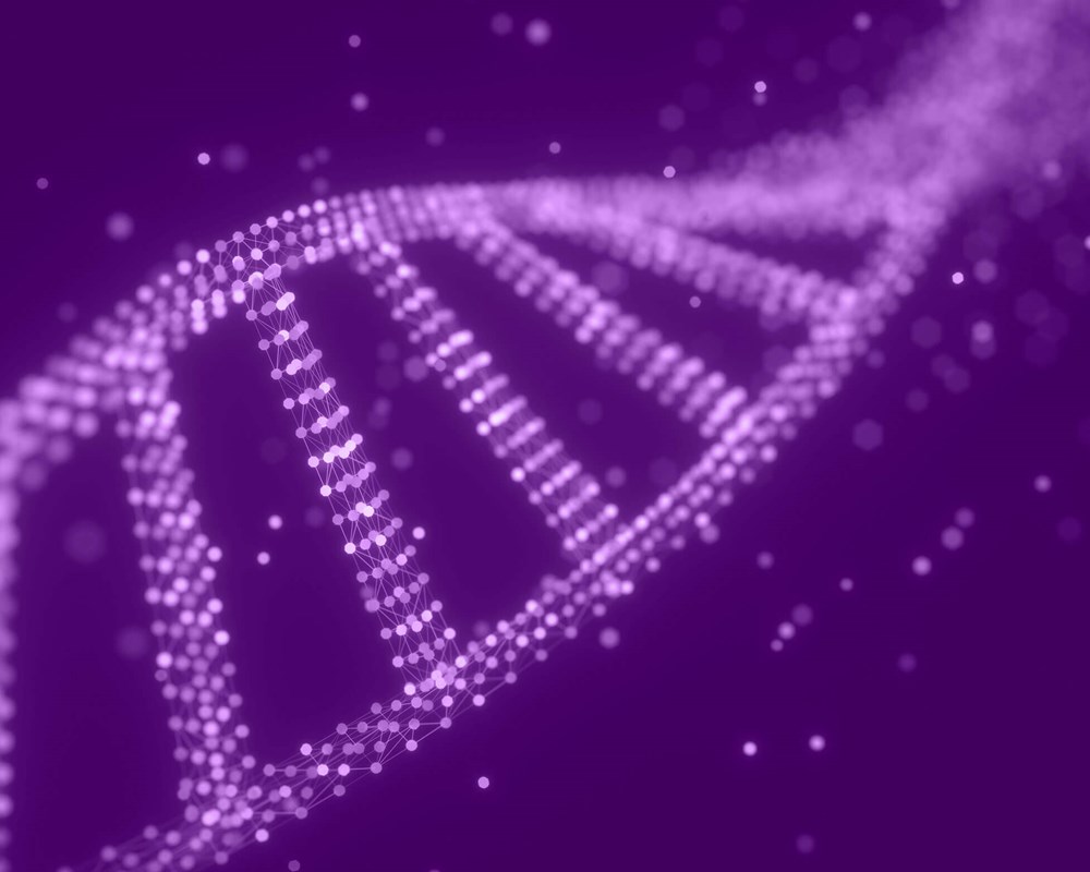 DNA molecule structure