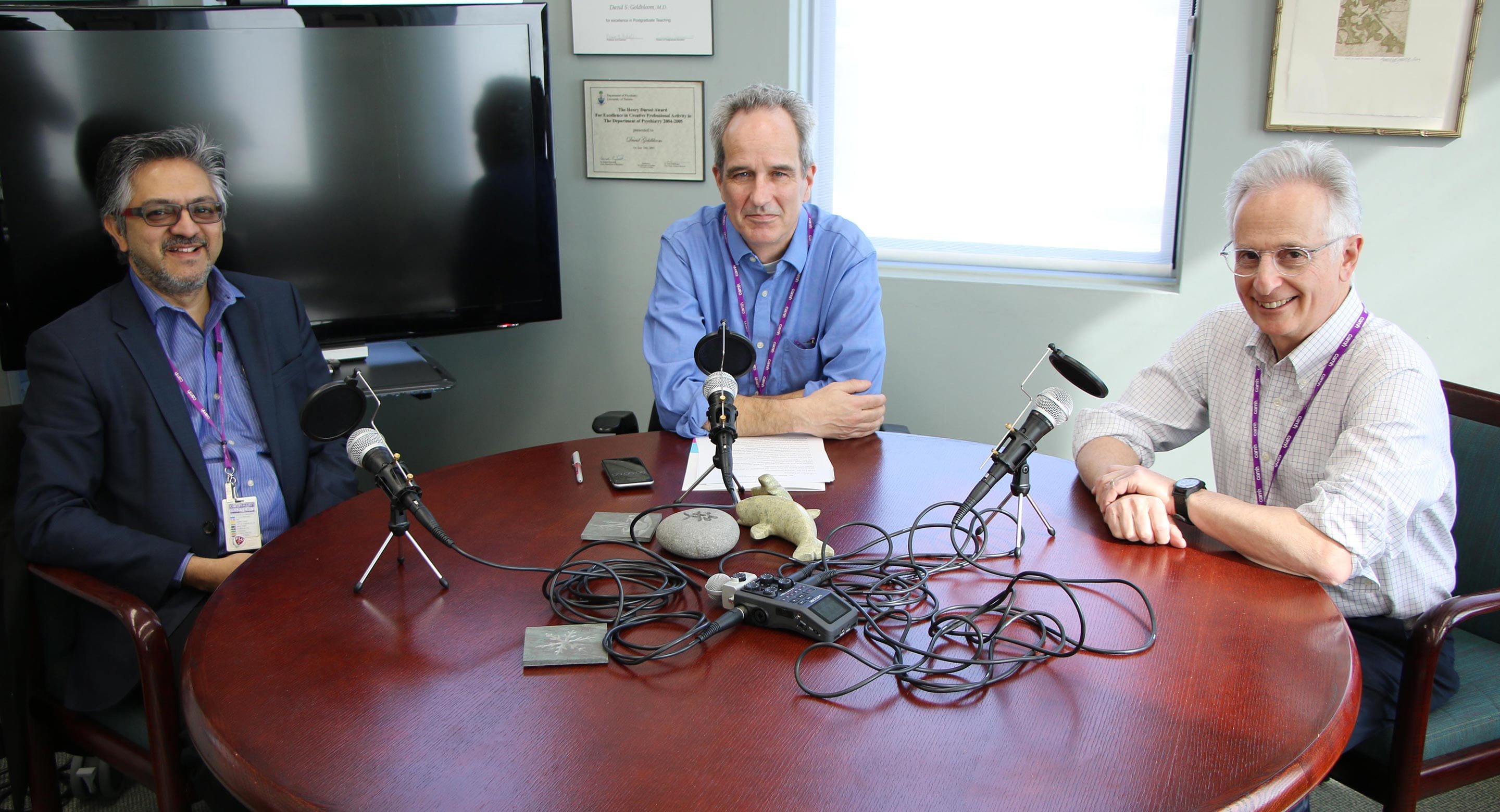 Dr. Peter Selby podcast with Sean O'Malley and Dr. David Goldbloom