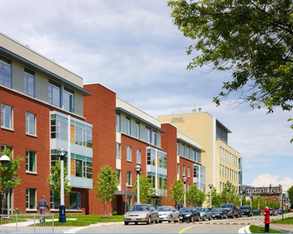 White Squirrel Way buildings