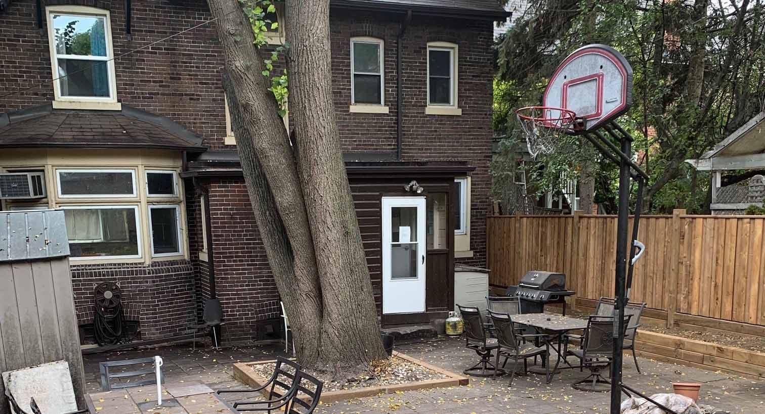 Photo of a backyard of a house