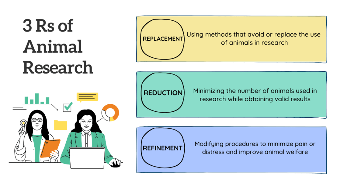 3 Rs of Animal Research: Replacement, Reduction, Refinement